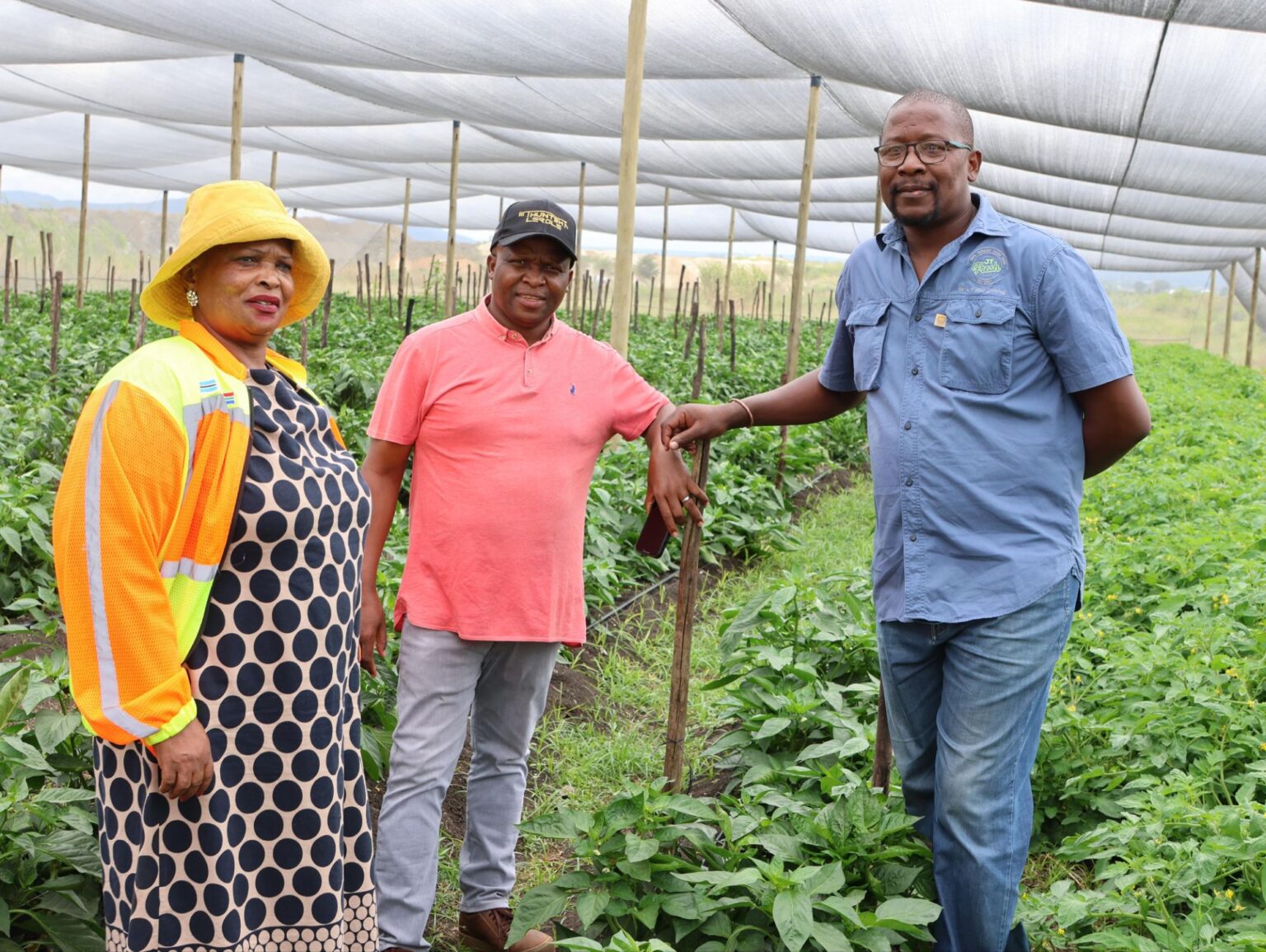 MEC Madoda Sambatha and Mr Jabulani Galubetse of JT Farm Fresh in one of the structures the department has funded for production of vegetables